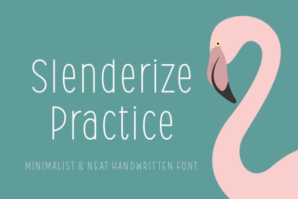 Slenderize Practice: A Font That Elevates Branding Efforts
